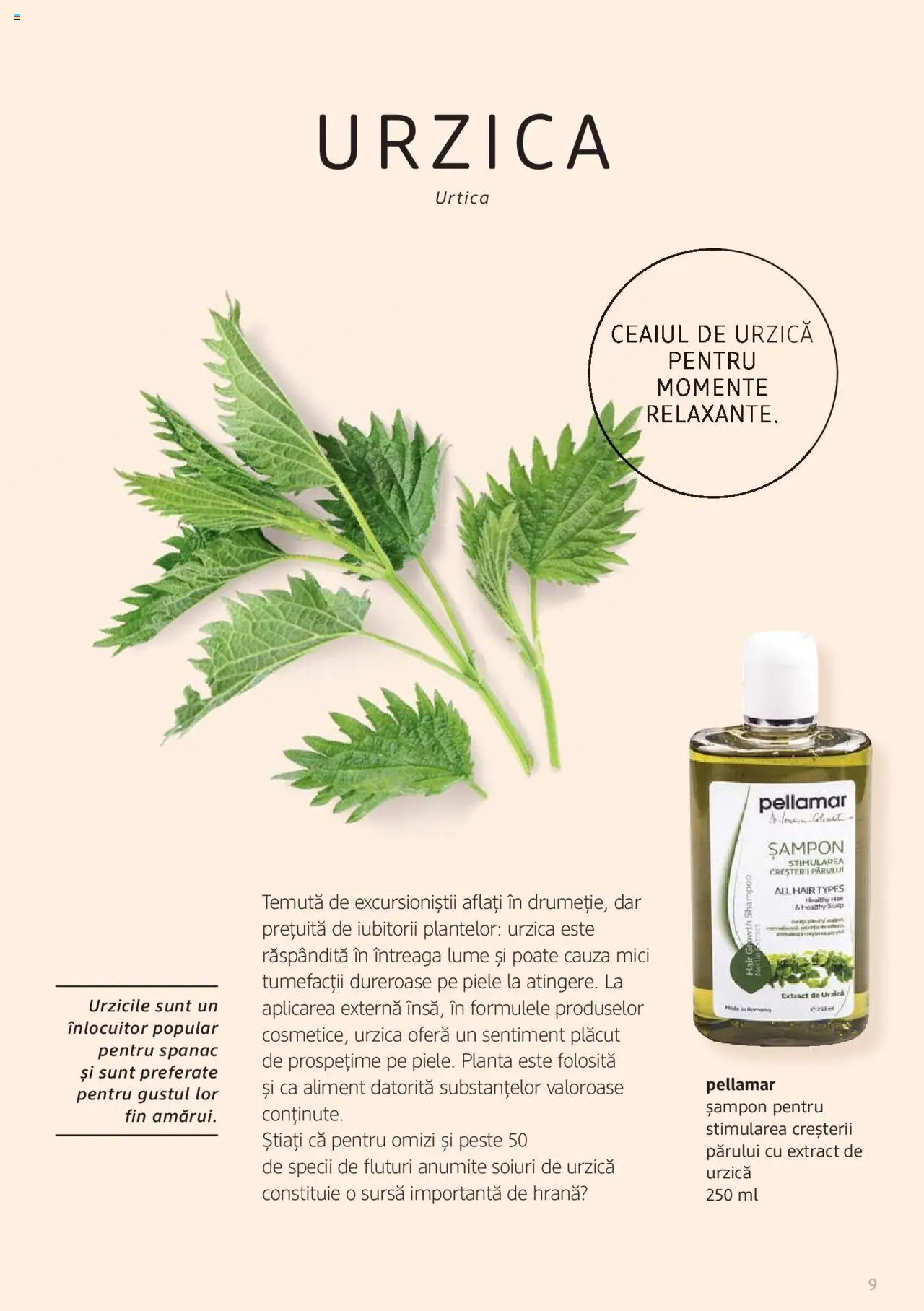 Noul catalog DM drogeriemarkt – valabil de la 01.01.2022 | Pagină: 9