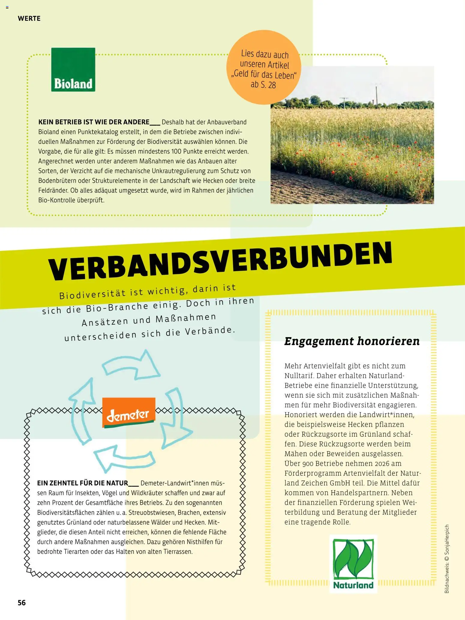 Denns BioMarkt Kreo Magazin – gültig ab 17.07.2026 | Seite: 56