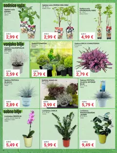 Pevex Katalog - Pregled kataloga iz trgovine Pevex, vrijedi od 24.09.2026 | Stranica: 36