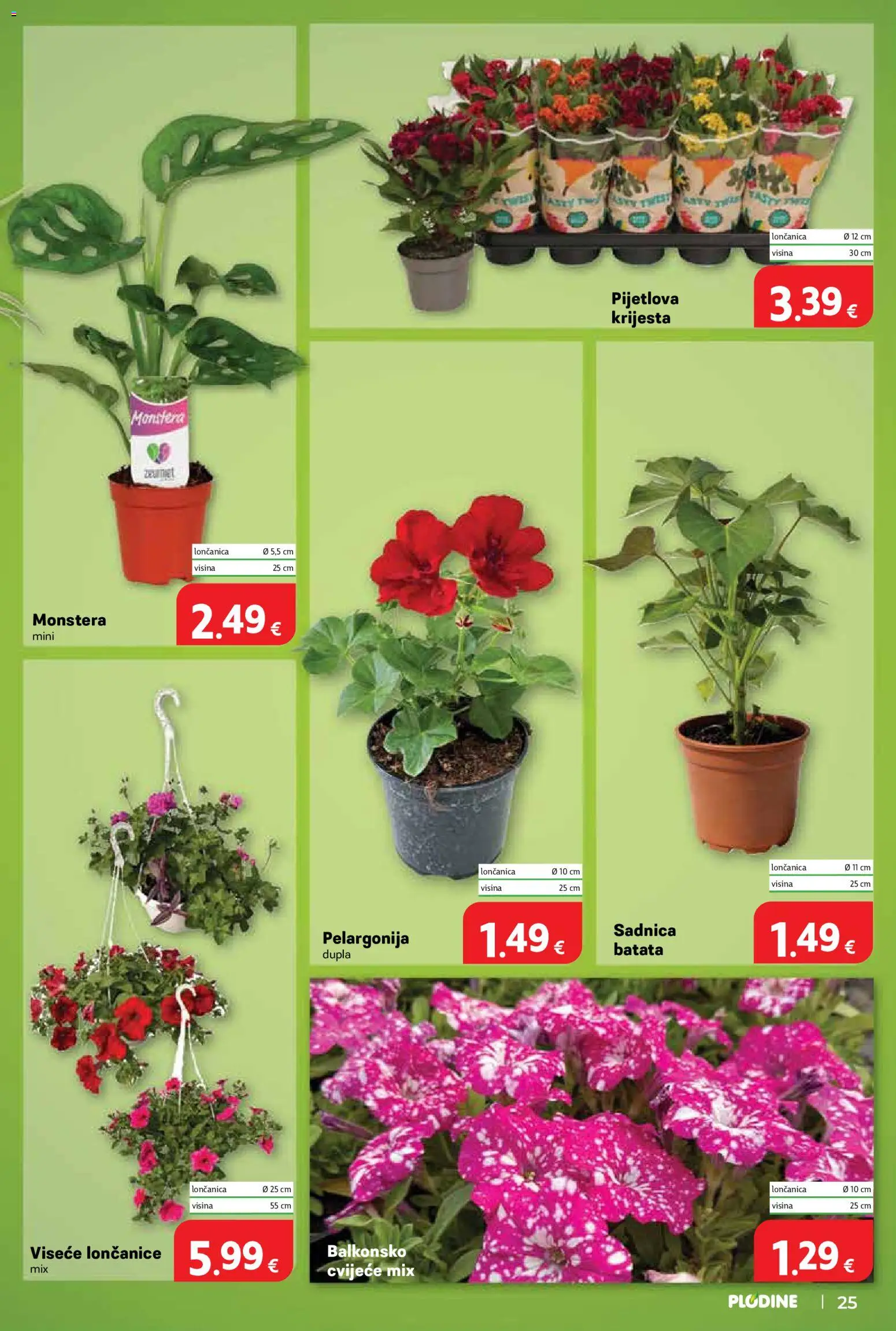 Plodine katalog | vrijedi od 13.05.2026 | Stranica: 25 | Proizvodi: Cvijeće