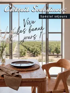 Cocktail Scandinave - Prévisualisation de Cocktail Scandinave catalogue valide à partir de 26.04.2026