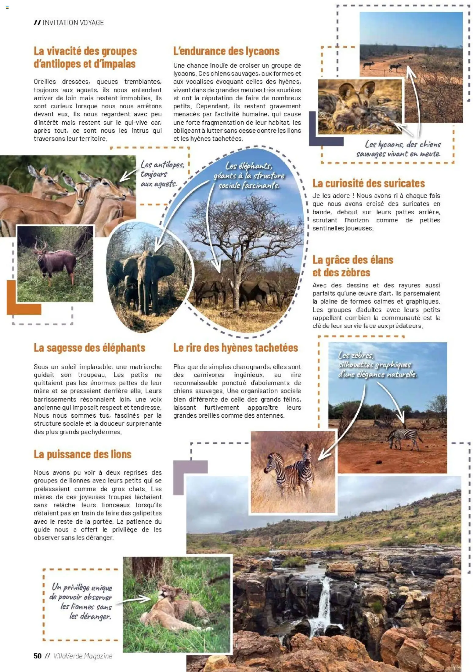 {H1} | Page: 50 | Produits: Clé, Mais, Magazine