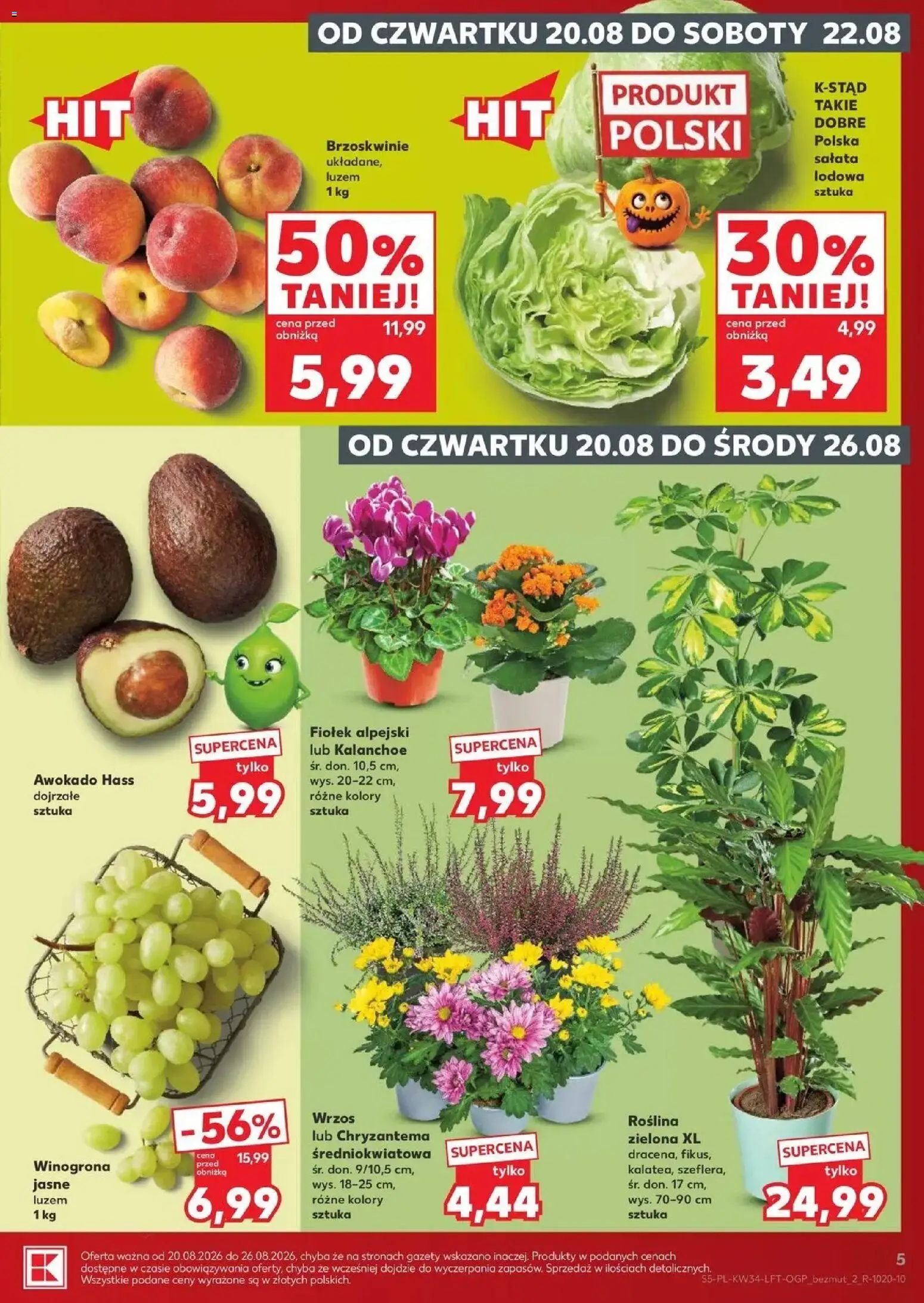 Kaufland gazetka od 20.08.2026 - od jutra PDF | Strona: 5 | Produkty: Sałata, Gazety, Kalanchoe, Brzoskwinie
