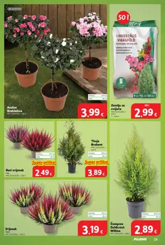 Plodine Katalog - Pregled kataloga iz trgovine Plodine, vrijedi od 07.10.2026 | Stranica: 25