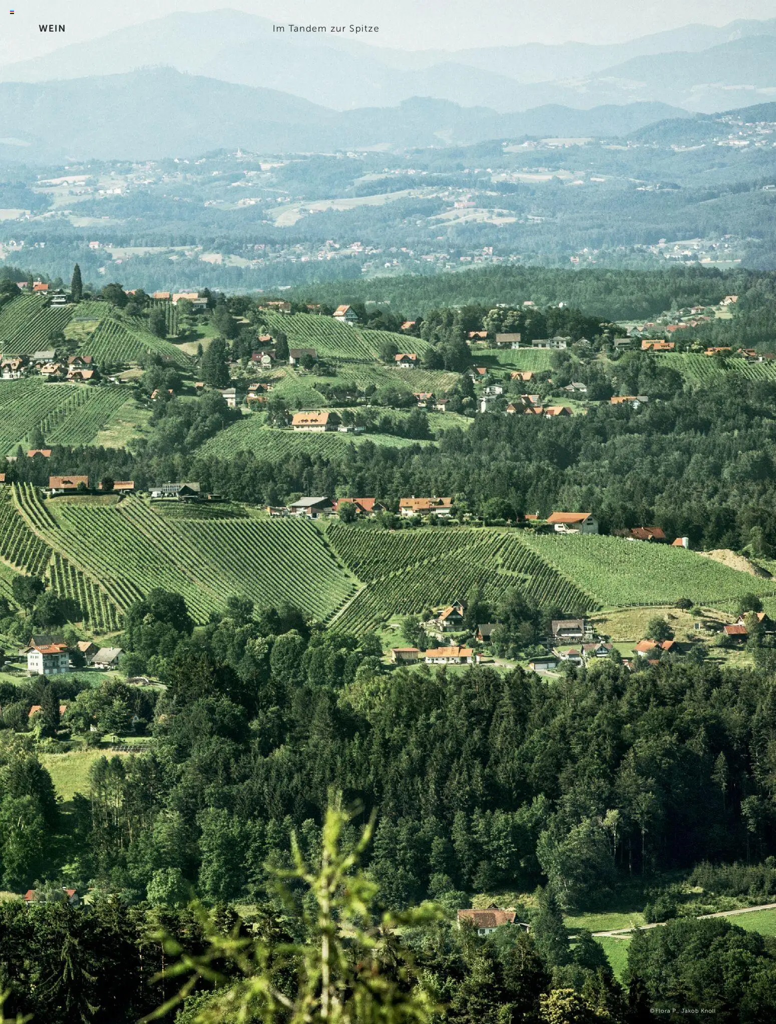 Interspar Meine Weinwelt Sommer 2026 gültig ab 11.06.2026 | Seite: 16 | Produkte: Wein