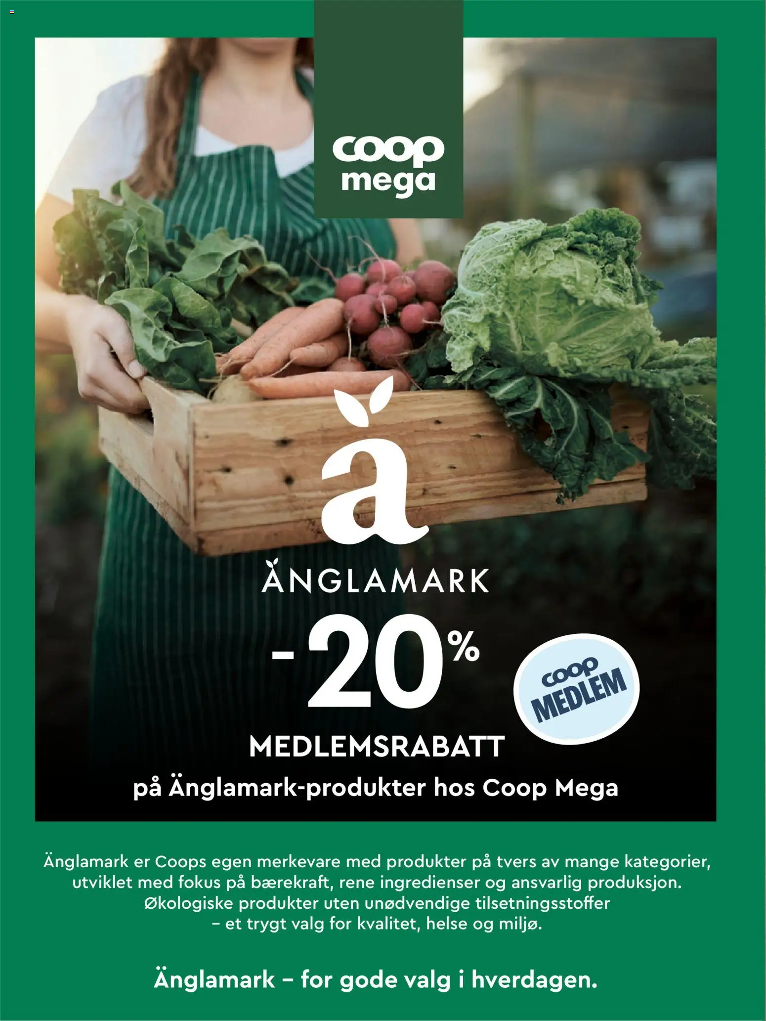 {H1} | Side: 40 | Produkter: Ingredienser