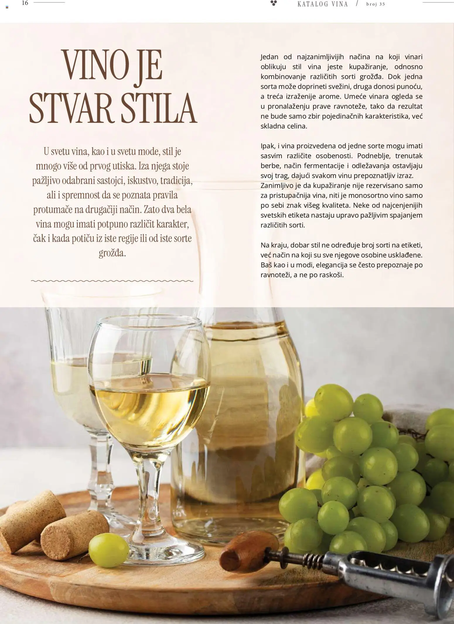 Idea katalog - važi od 26.10.2026 | Strana: 16 | Proizvode: Vino