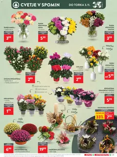 Spar katalog akcije – veljaven od 21.10.2026 | Stran: 36 | Izdelki: Cvetje, Šopek, Lotus