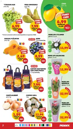 Ofertele PENNY valabile de la 26.08.2026 | Pagină: 7