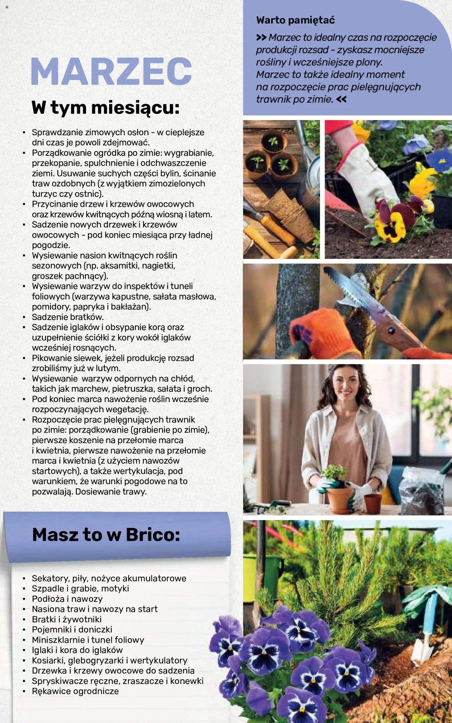 Brico Marché gazetka - Jesienne Inspiracje od 17.08.2026 | Strona: 102 | Produkty: Papryka, Rosliny, Doniczki, Warzywa