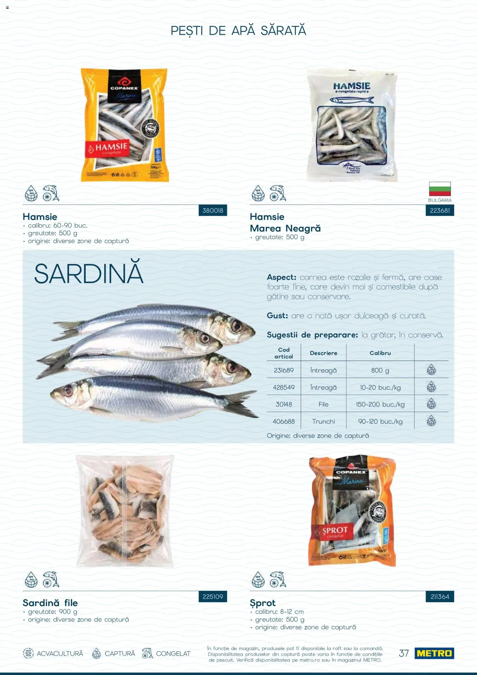 Noul catalog Metro – valabil de la 01.10.2026 | Pagină: 37 | Produse: Raft, Trunchi, Apă
