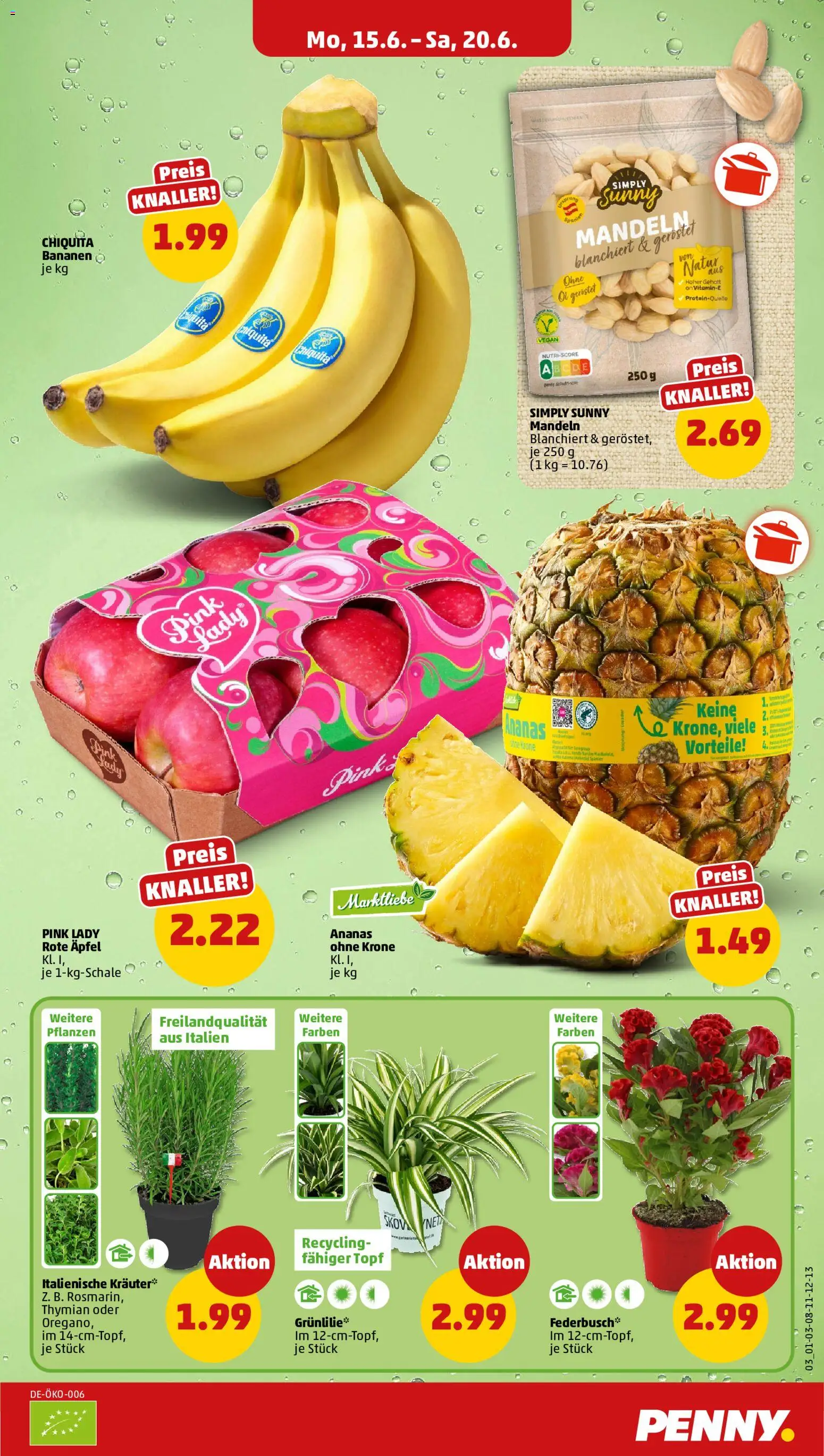 Penny Prospekt – gültig ab 15.06.2026 | Seite: 3 | Produkte: Öl, Äpfel, Bananen, Ananas