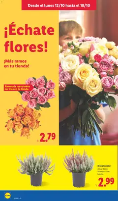 Vista previa Lidl folleto válido desde el 12/10/2026 | Página: 52 | Productos: Naranjas, Flores, Brezo