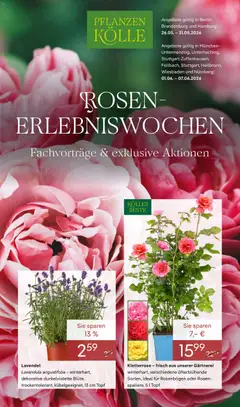 Pflanzen-Kölle Prospekt ab 26.05.2026 gültig