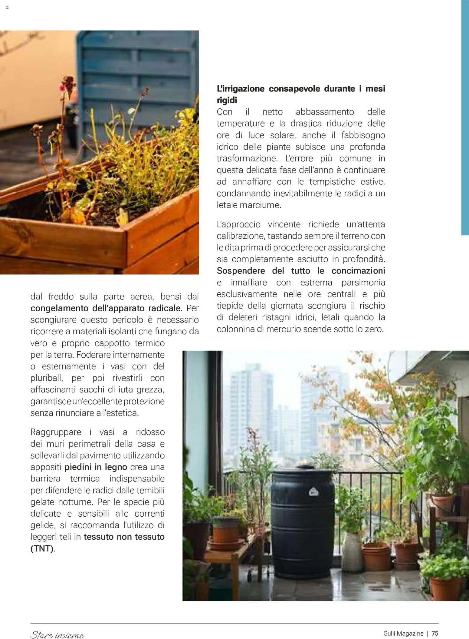 Volantino Gulliver del 01/10/2026 | Pagina: 75 | Prodotti: Pavimento