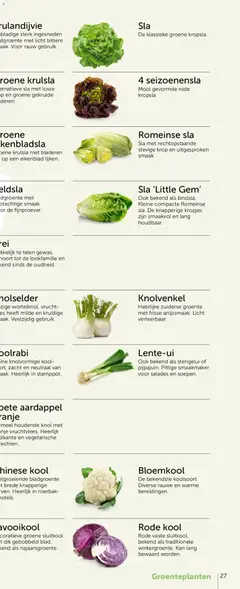 Aveve Groente- en kruidengids - Voorbeeld van een folder van Aveve, geldig van 23.02.2026 | Pagina: 53 | Producten: Aardappel, Bloemkool, Kool, Kan