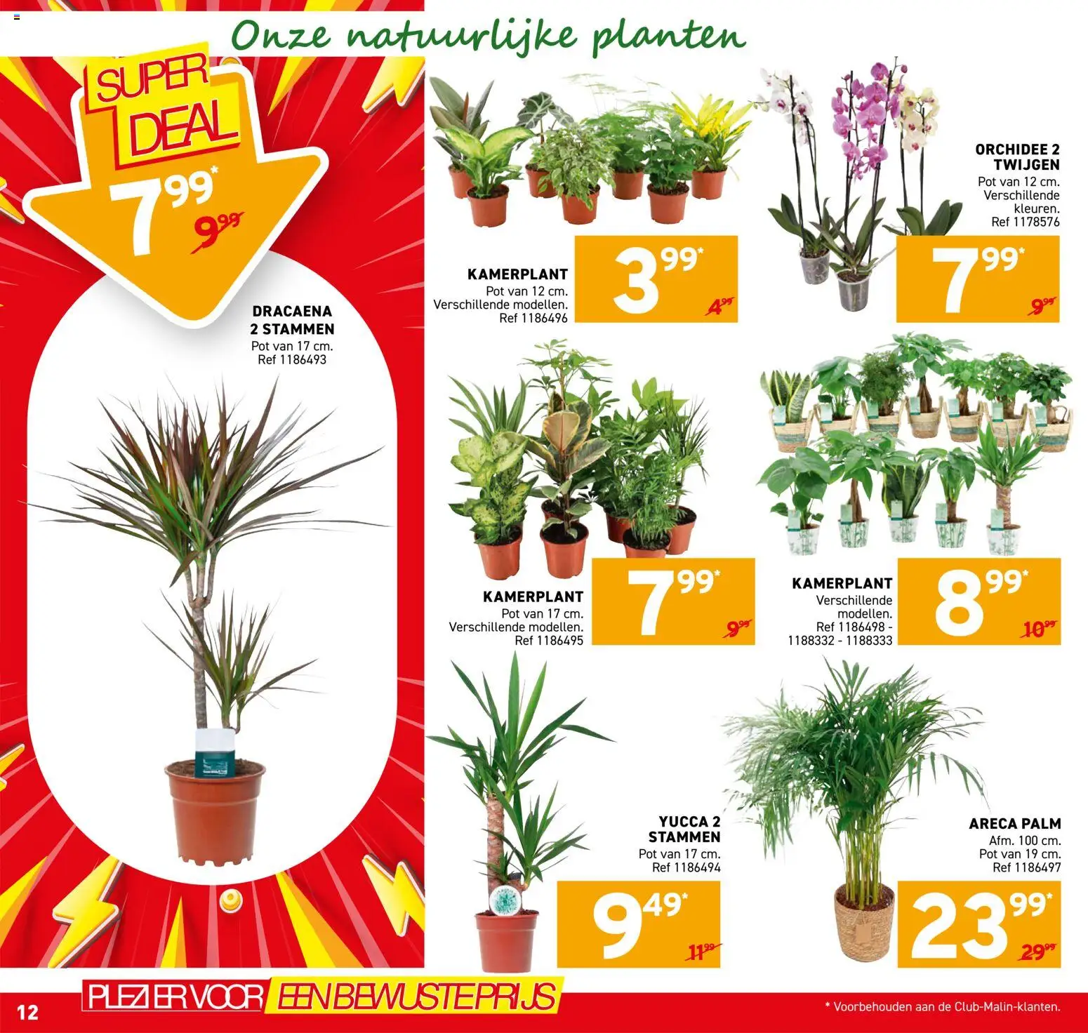 {H1} | Pagina: 12 | Producten: Orchidee, Pot