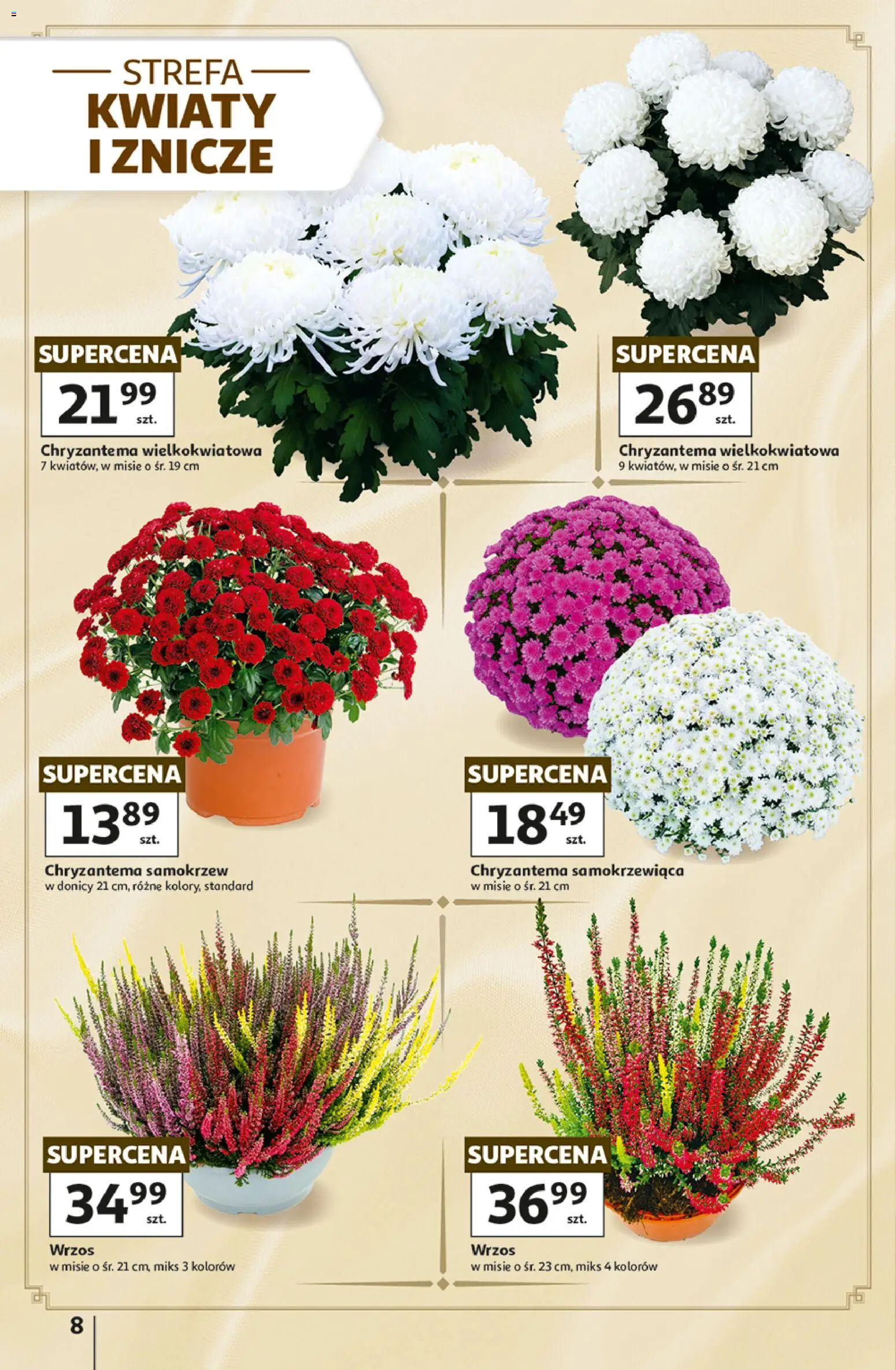 Auchan gazetka - Hipermarket od 22.10.2026 | Strona: 8 | Produkty: Wrzos, Znicze, Kwiaty