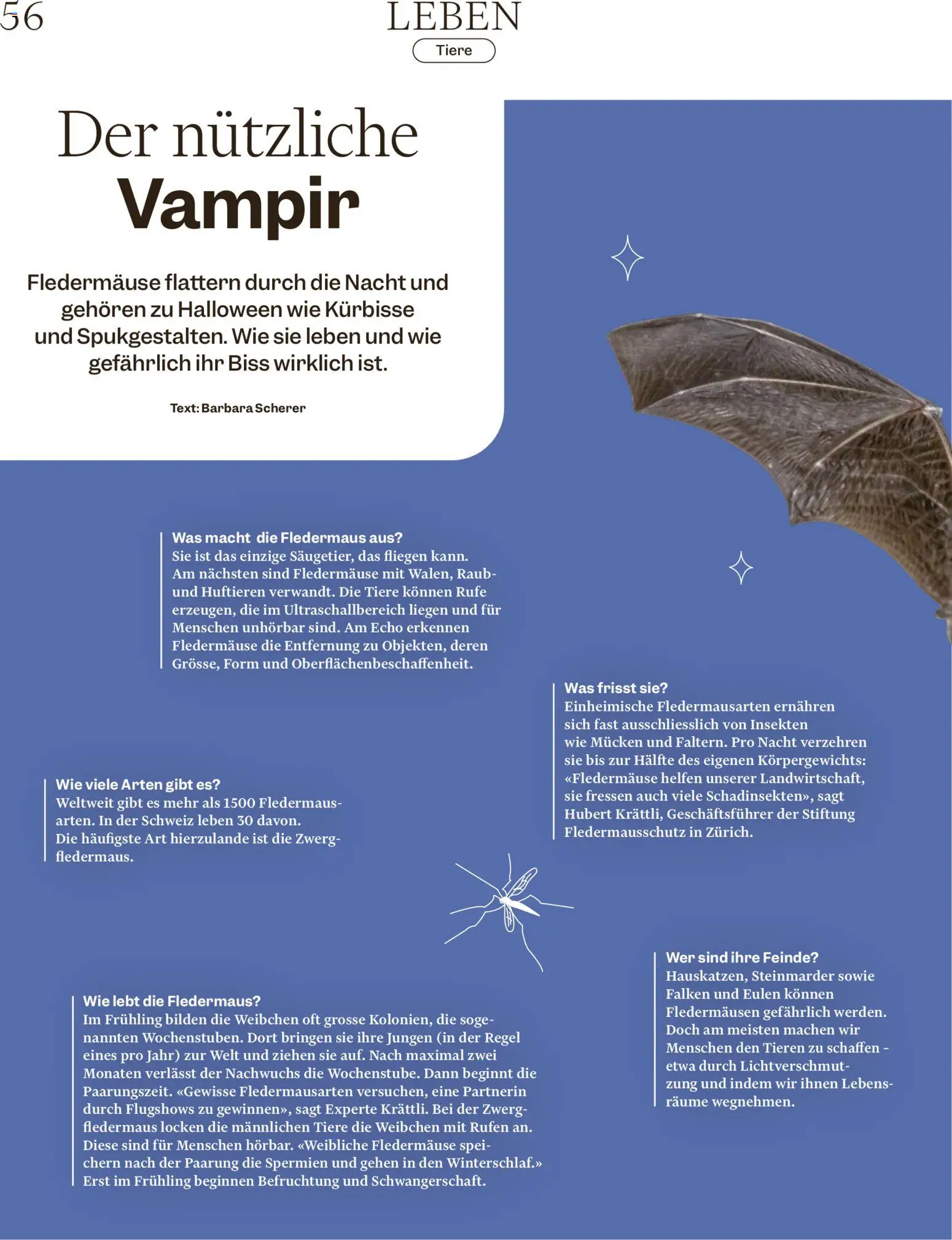 Migros aktionen Magazine – gültig ab 14.10.2026 | Seite: 56