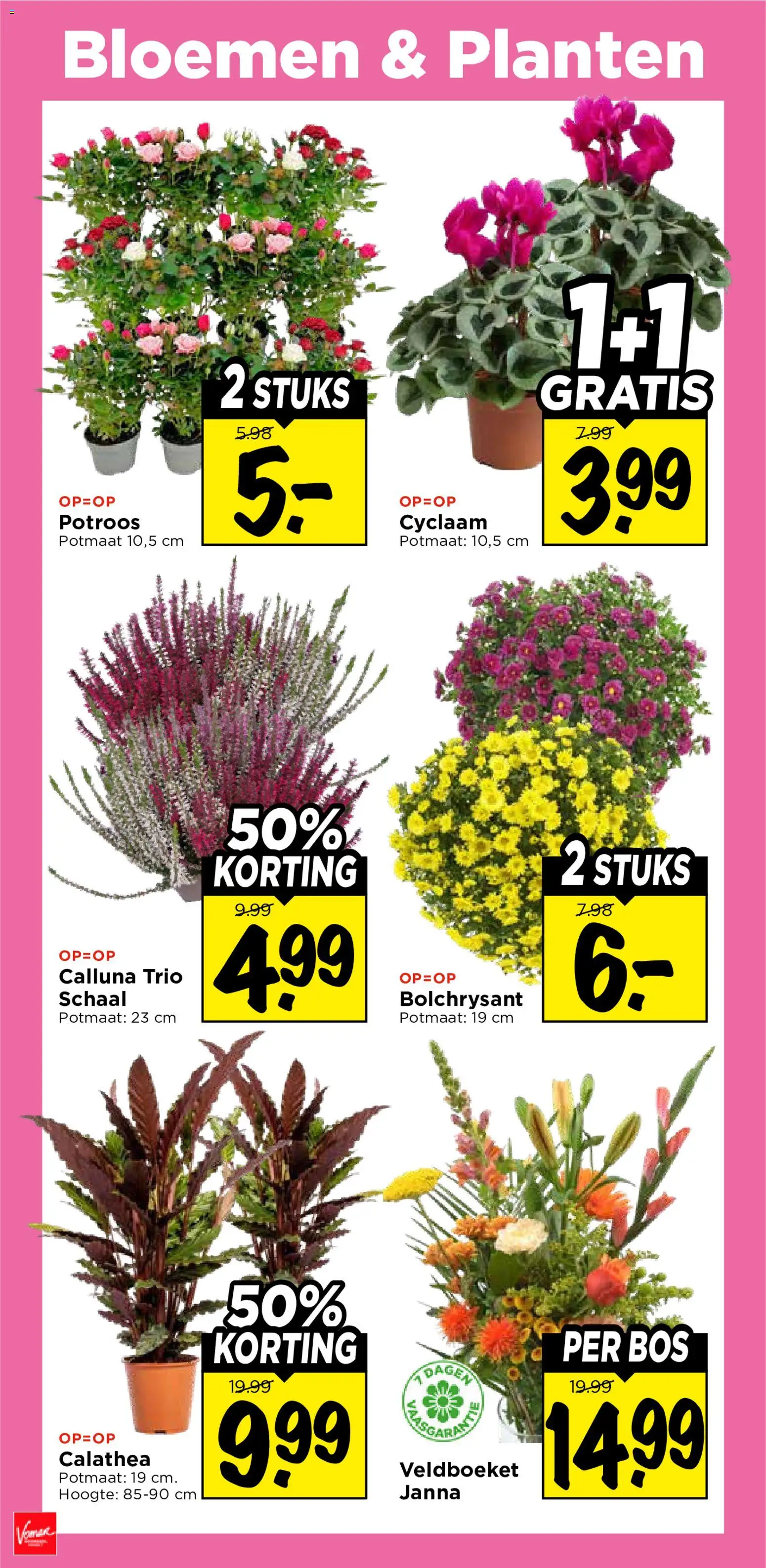 {H1} | Pagina: 36 | Producten: Schaal, Bloemen