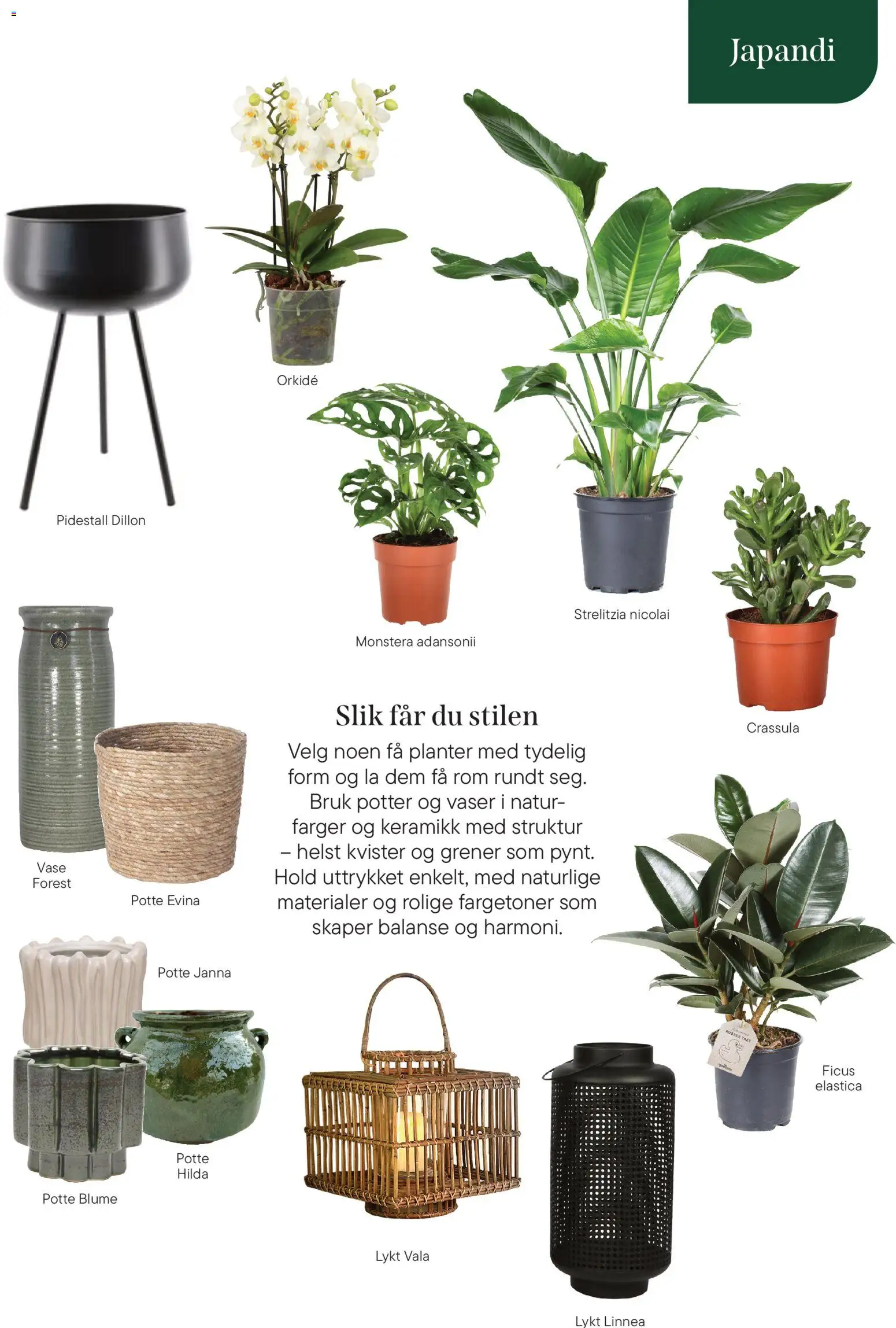{H1} | Side: 19 | Produkter: Orkidé, Lykt, Vase, Pidestall