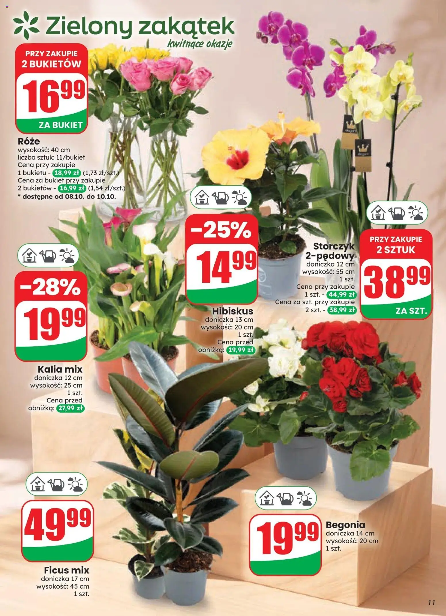 Dino gazetka od 07.10.2026 | Strona: 11 | Produkty: Hibiskus, Doniczka, Storczyk