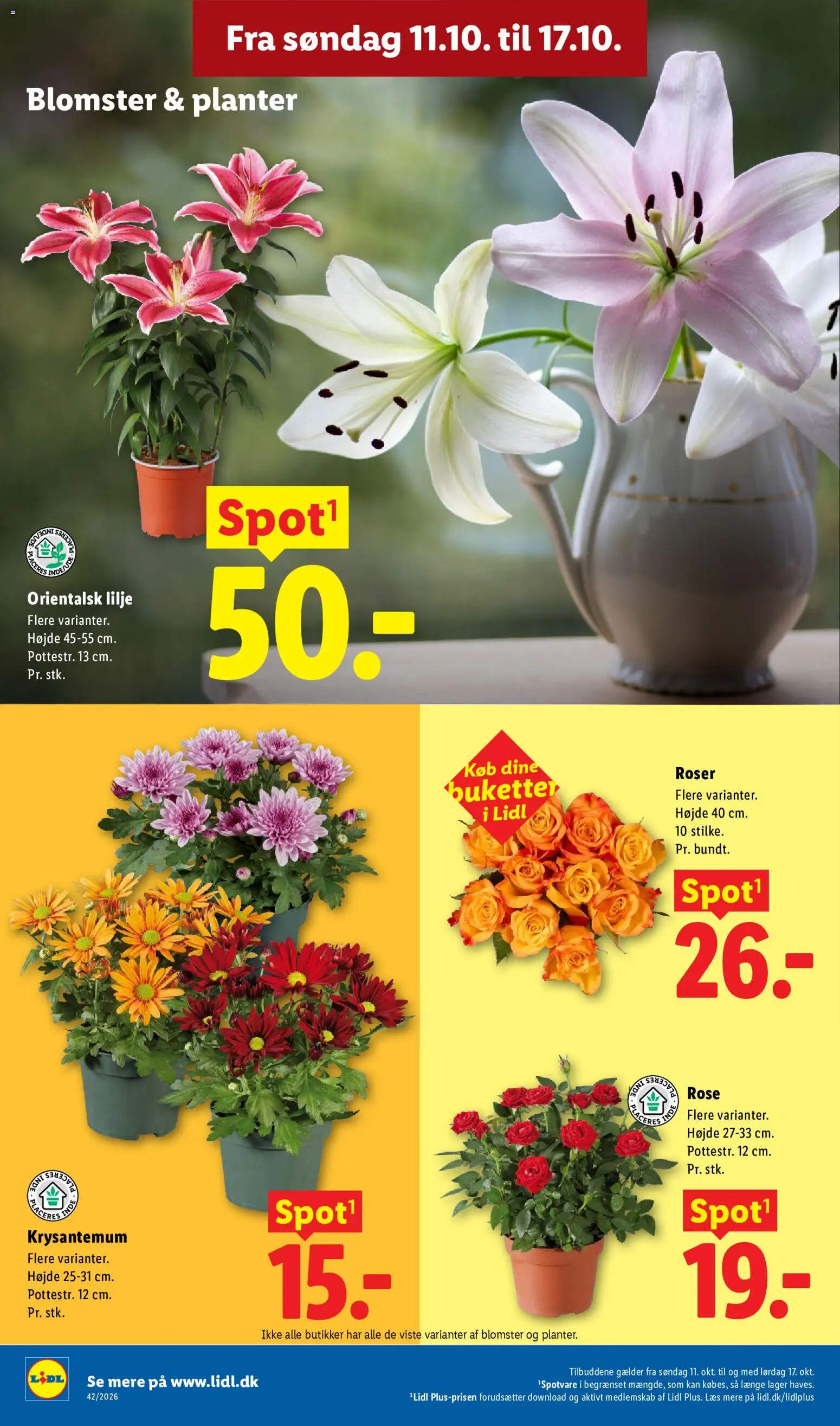 Lidl tilbudsavis – gyldig fra 11/10/2026 | Side: 23 | Produkter: Søm