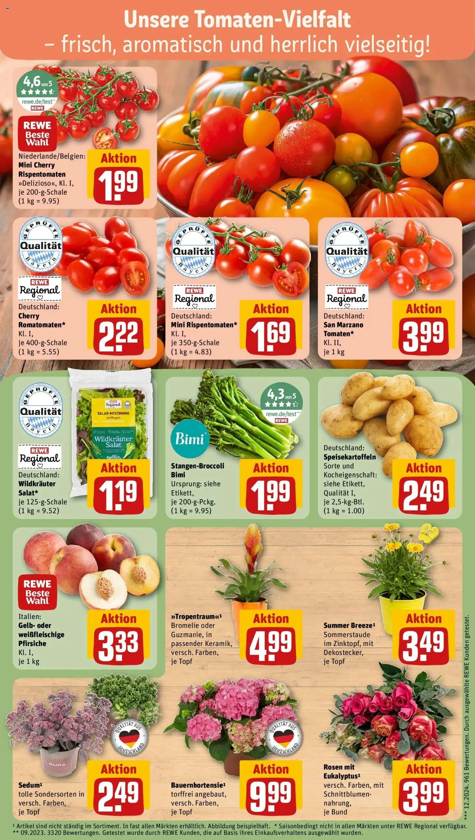 Rewe Prospekt Rottenburg – gültig ab 13.07.2026 | Seite: 7 | Produkte: Salat