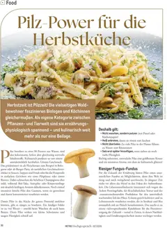 Metro Tischgespräch ab 01.09.2026 gültig | Seite: 30 | Produkte: Pinsel, Schwämme, Wasser, Fleisch