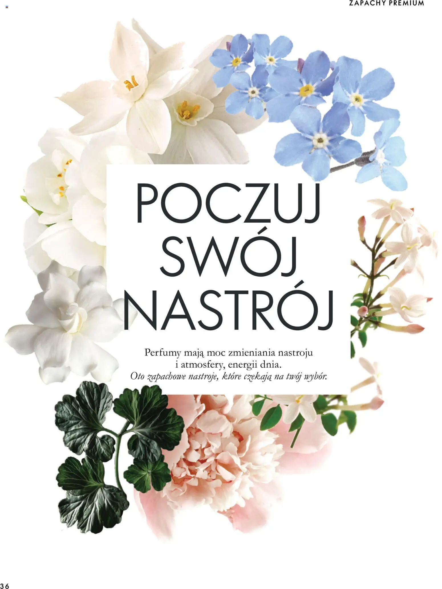 Oriflame Katalog 15 2026 od 11.11.2026 | Strona: 36