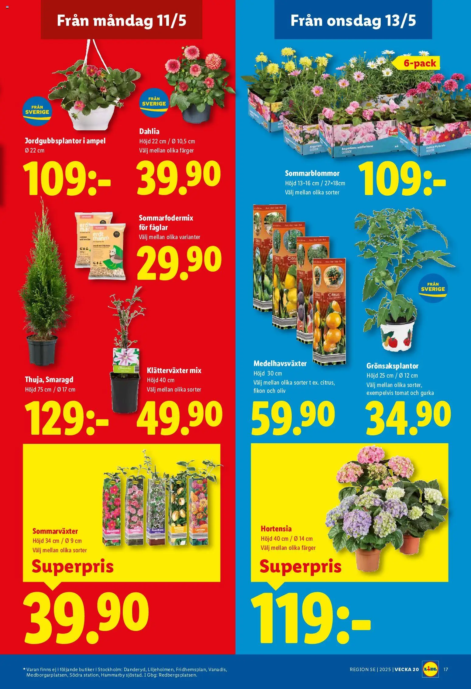 Lidl reklamblad aktuell från 11.05.2026 | Sida: 20 | Produkter: Gurka