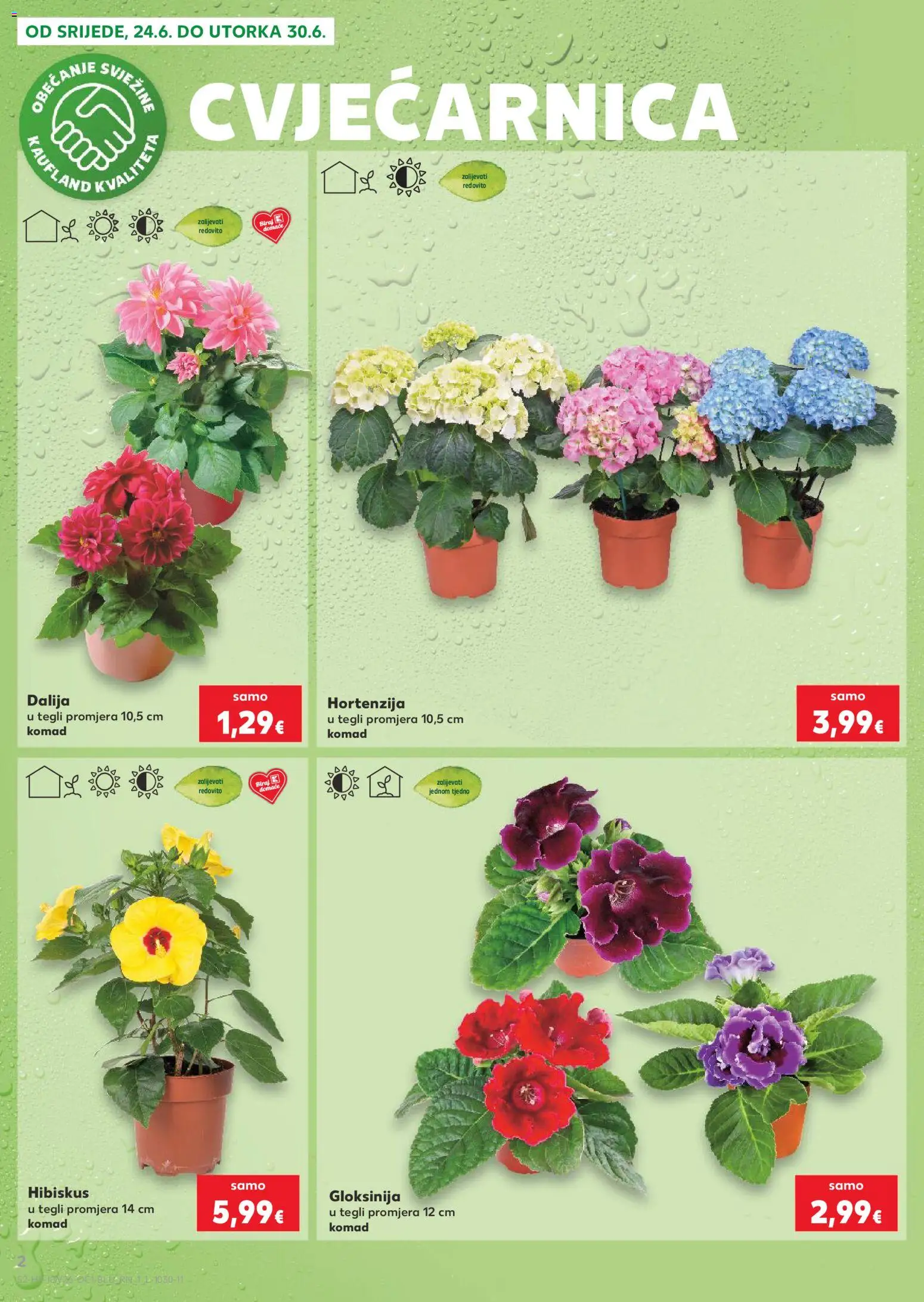 Kaufland katalog | vrijedi od 24.06.2026 | Stranica: 2