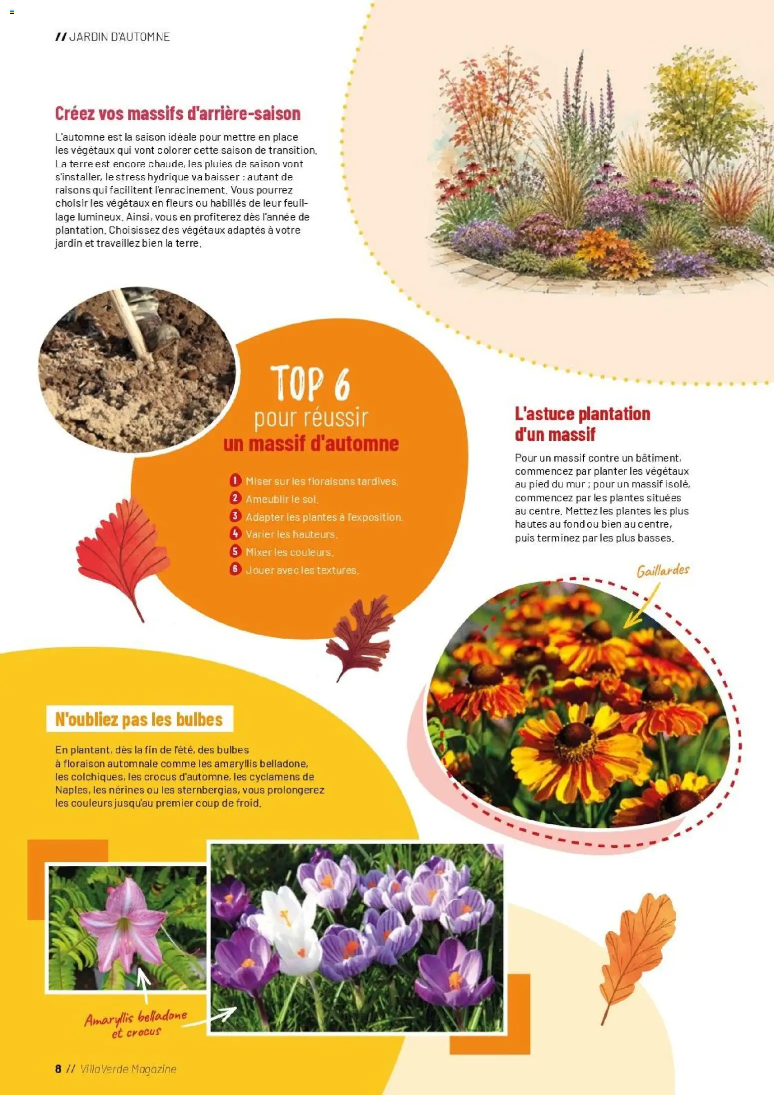 {H1} | Page: 8 | Produits: Plantes, Fleurs, Mixer, Magazine