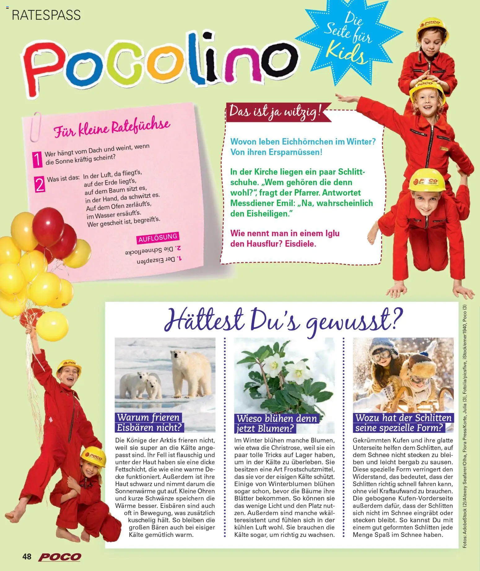 Poco Wohnwelt Winter 2025 – gültig ab 01.12.2025 | Seite: 48 | Produkte: Ofen, Blumen, Wasser