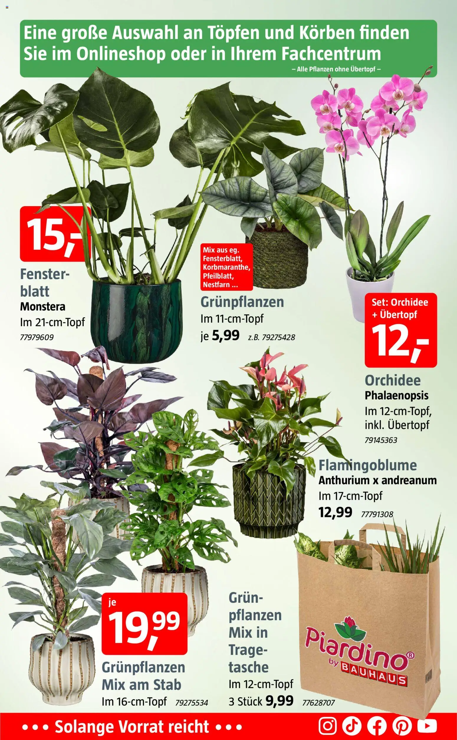 Bauhaus Prospekt – gültig ab 03.08.2026 | Seite: 4 | Produkte: Tasche, Orchidee