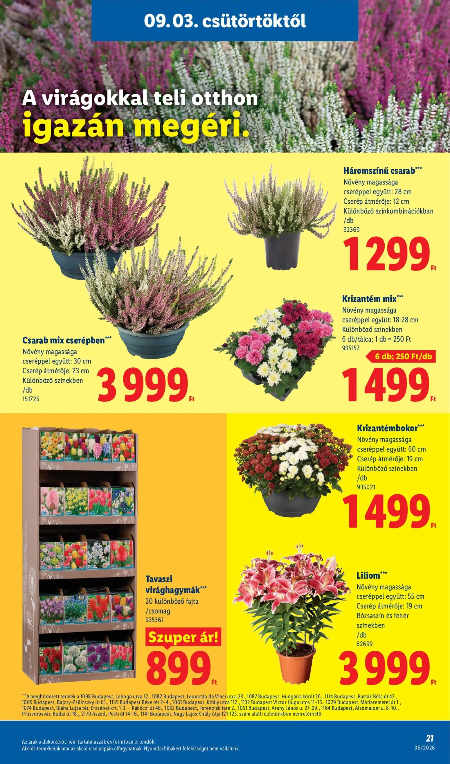 Lidl akciós ujság - amely érvényes a következő dátumtól: 2026.09.03. | Oldal: 21