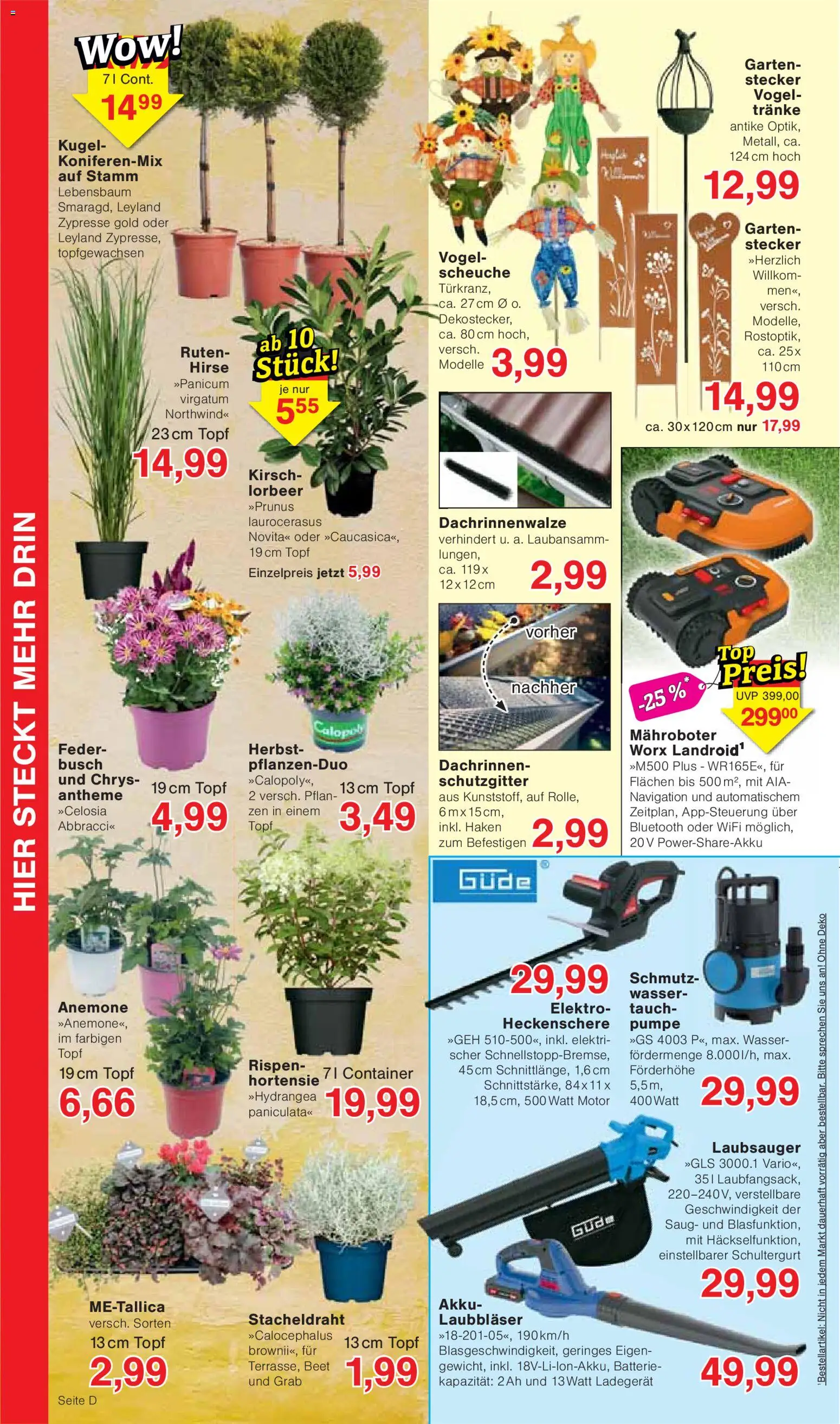 Wiglo Wunderland Prospekt – gültig ab 31.08.2026 | Seite: 8 | Produkte: Hortensie, Navigation, Batterie, Wasser