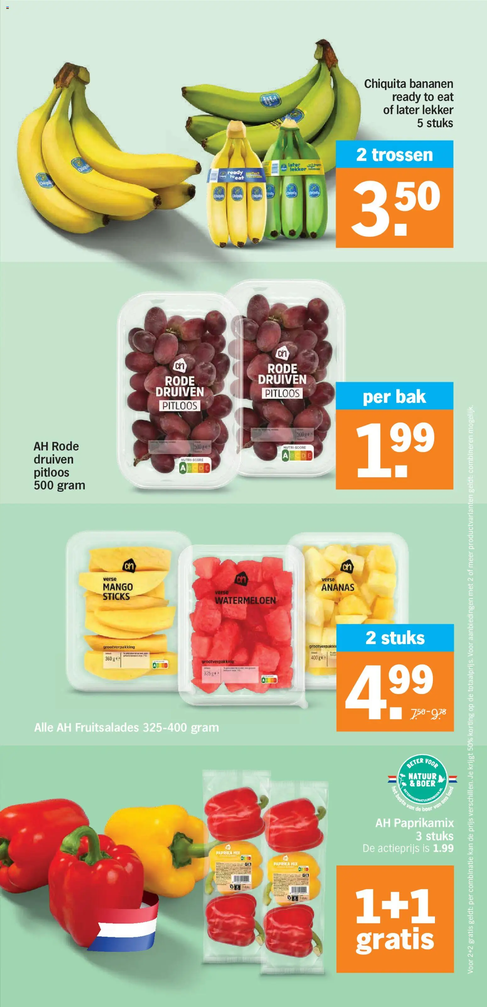 {H1} | Pagina: 10 | Producten: Bananen, Ananas, Fruit, Watermeloen