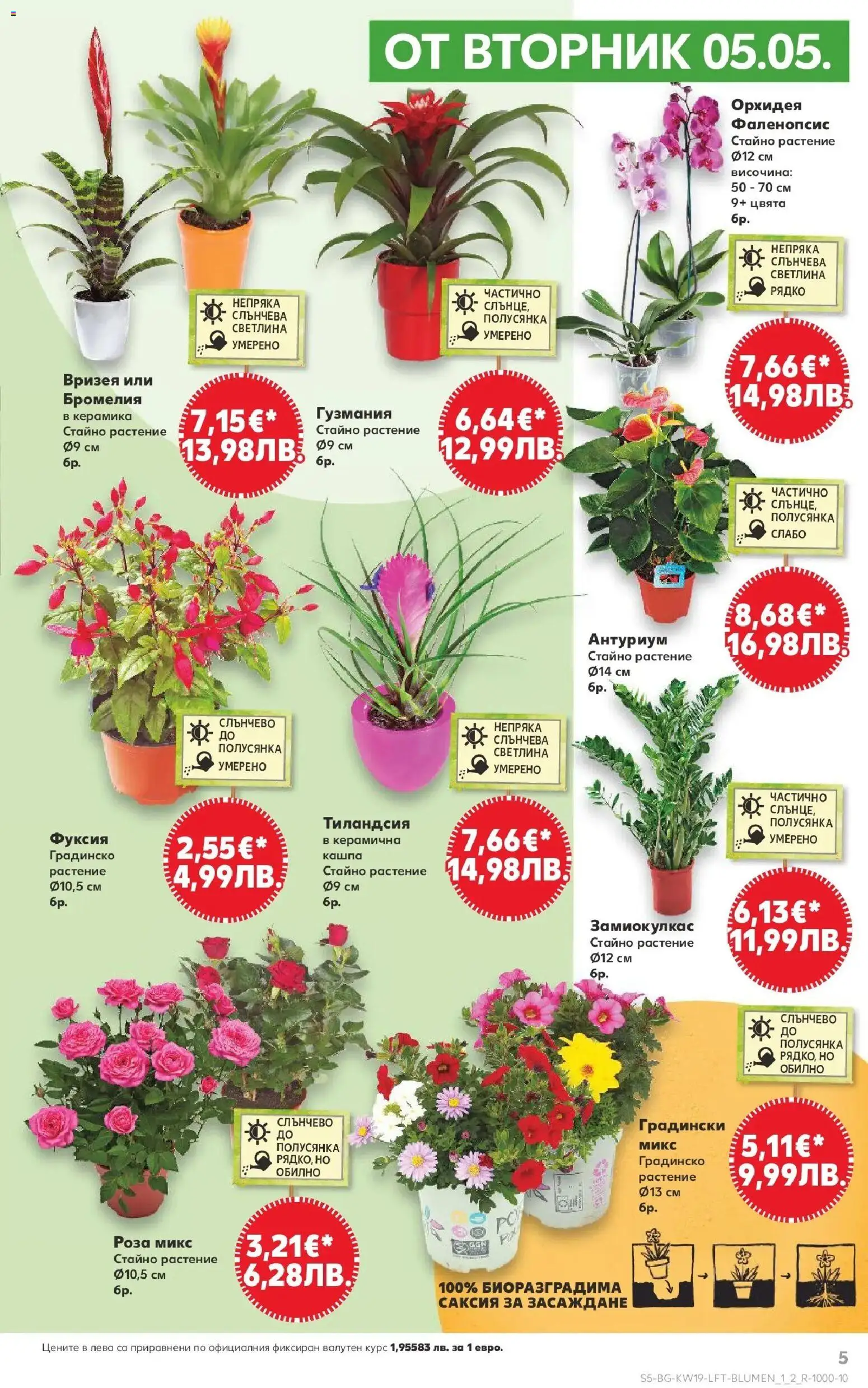 {H1} | Страница: 5 | Продукти: Кашпа, Орхидея, Роза, Саксия