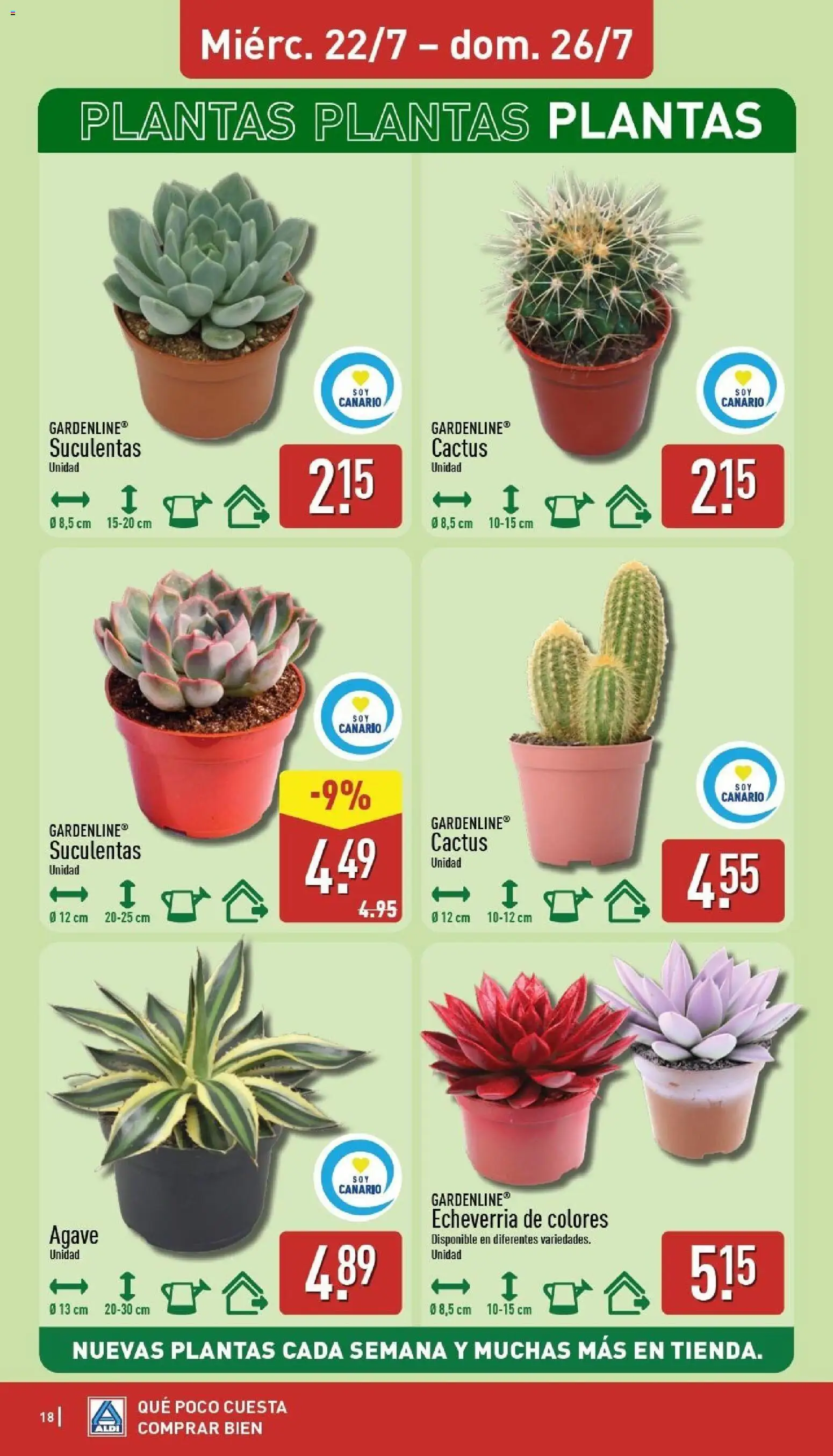 Aldi folleto Canarias │ válido desde el 20/07/2026 | Página: 18