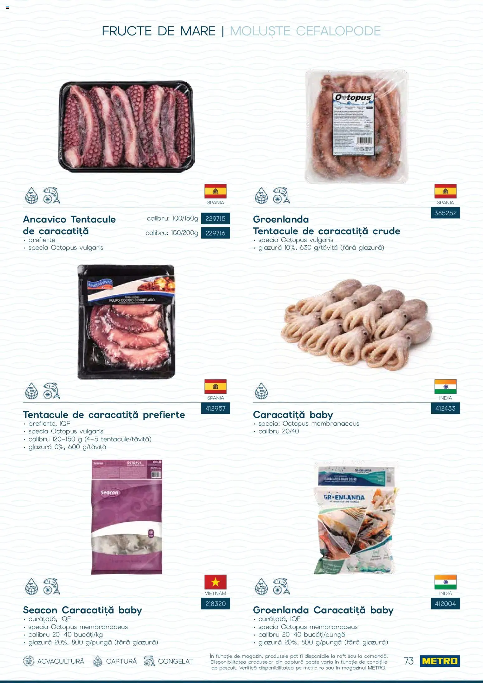Noul catalog Metro – valabil de la 01.10.2026 | Pagină: 73 | Produse: Baby, Raft, Fructe, Fructe De Mare