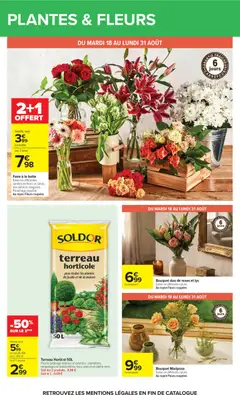 Carrefour - Prévisualisation de Carrefour Vos promos du quotidien valide à partir de 17/08/2026 | Page: 67 | Produits: Sac, Fleurs, Terreau, Terreau horticole