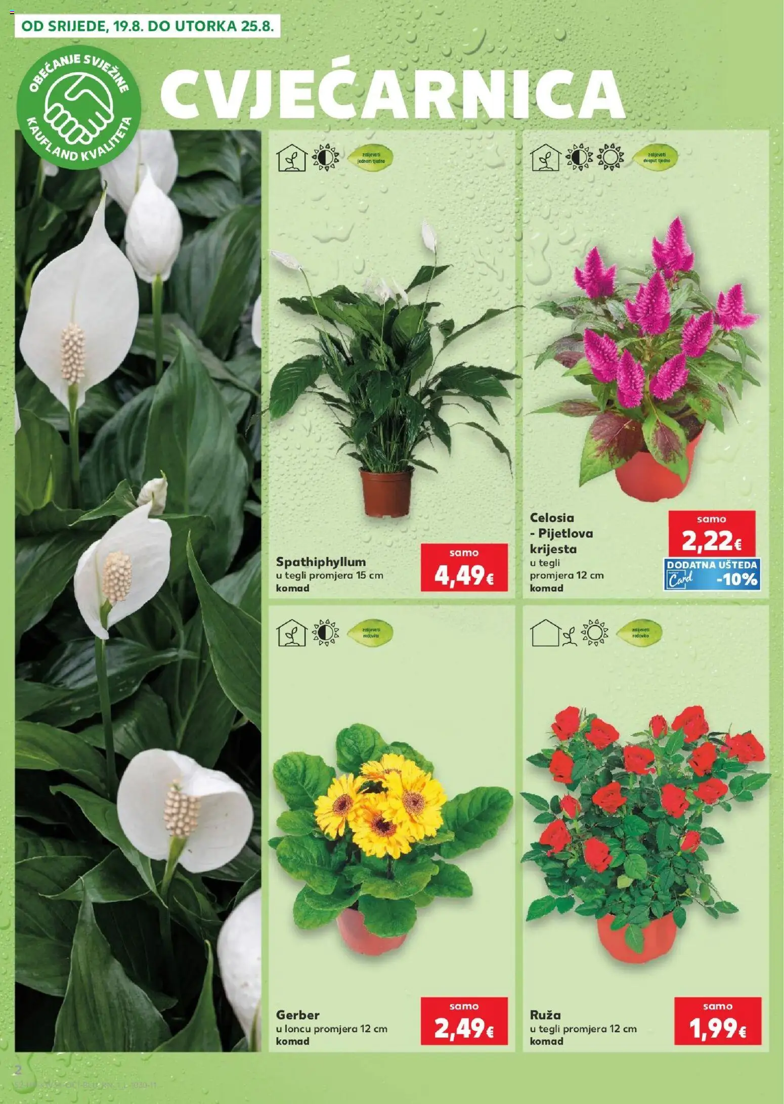 Kaufland katalog | vrijedi od 19.08.2026 | Stranica: 2 | Proizvodi: Zemlja, Šljiva, Breskva, Datulja