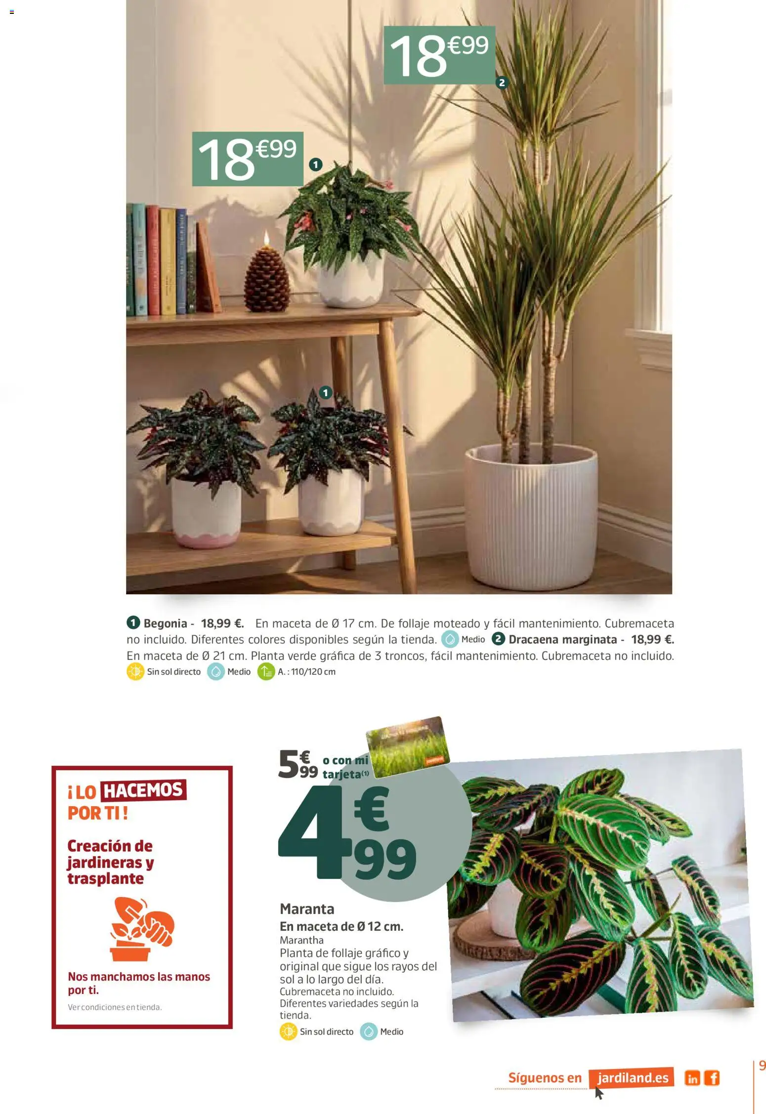 Jardiland folleto │ válido desde el 01/10/2026 | Página: 9 | Productos: Maceta