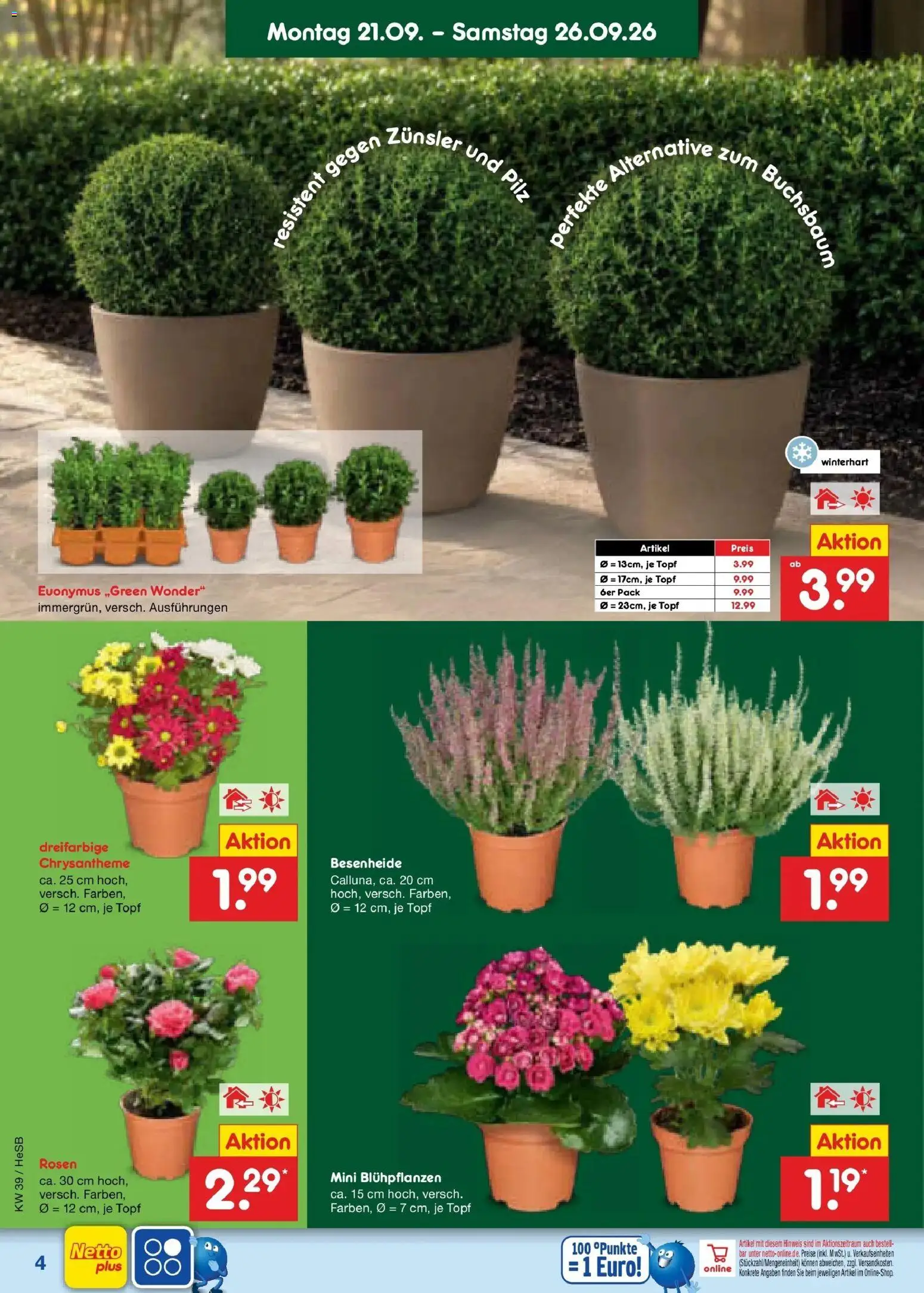 Netto Marken-Discount Prospekt Rostock – gültig ab 21.09.2026 | Seite: 4