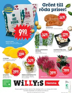 Willys erbjudanden Hemma - Förhandsvisning av reklamblad från butik Willys aktuell från 14/09/2026 | Sida: 4 | Produkter: Galler, Potatis, Papper, Citroner