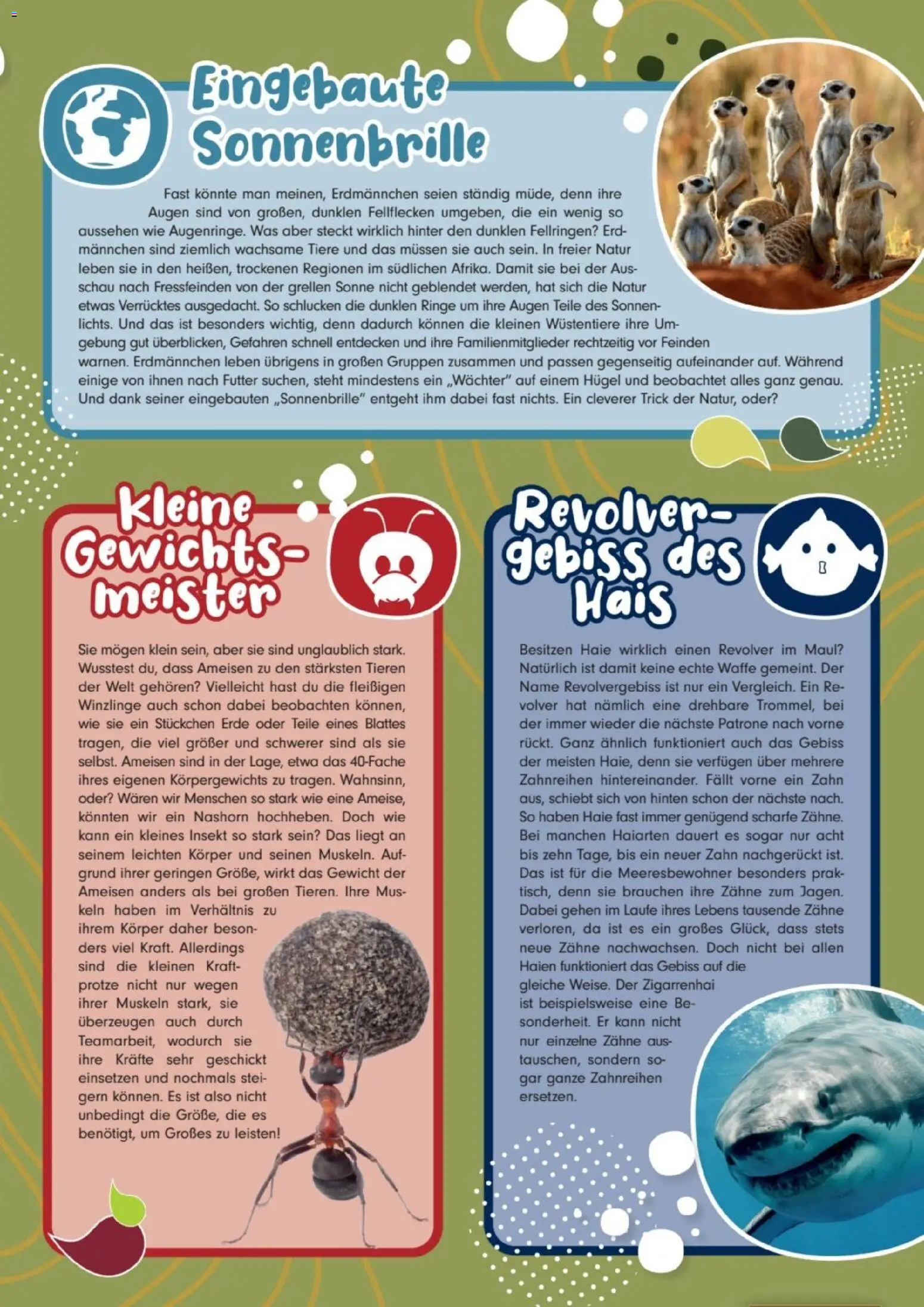 zookauf Kids – gültig ab 01.08.2026 | Seite: 2 | Produkte: Gewicht