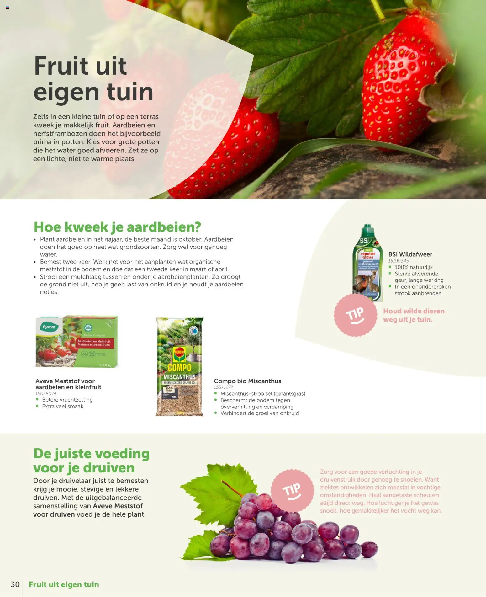 {H1} | Pagina: 30 | Producten: Aardbeien, Fruit, Druiven