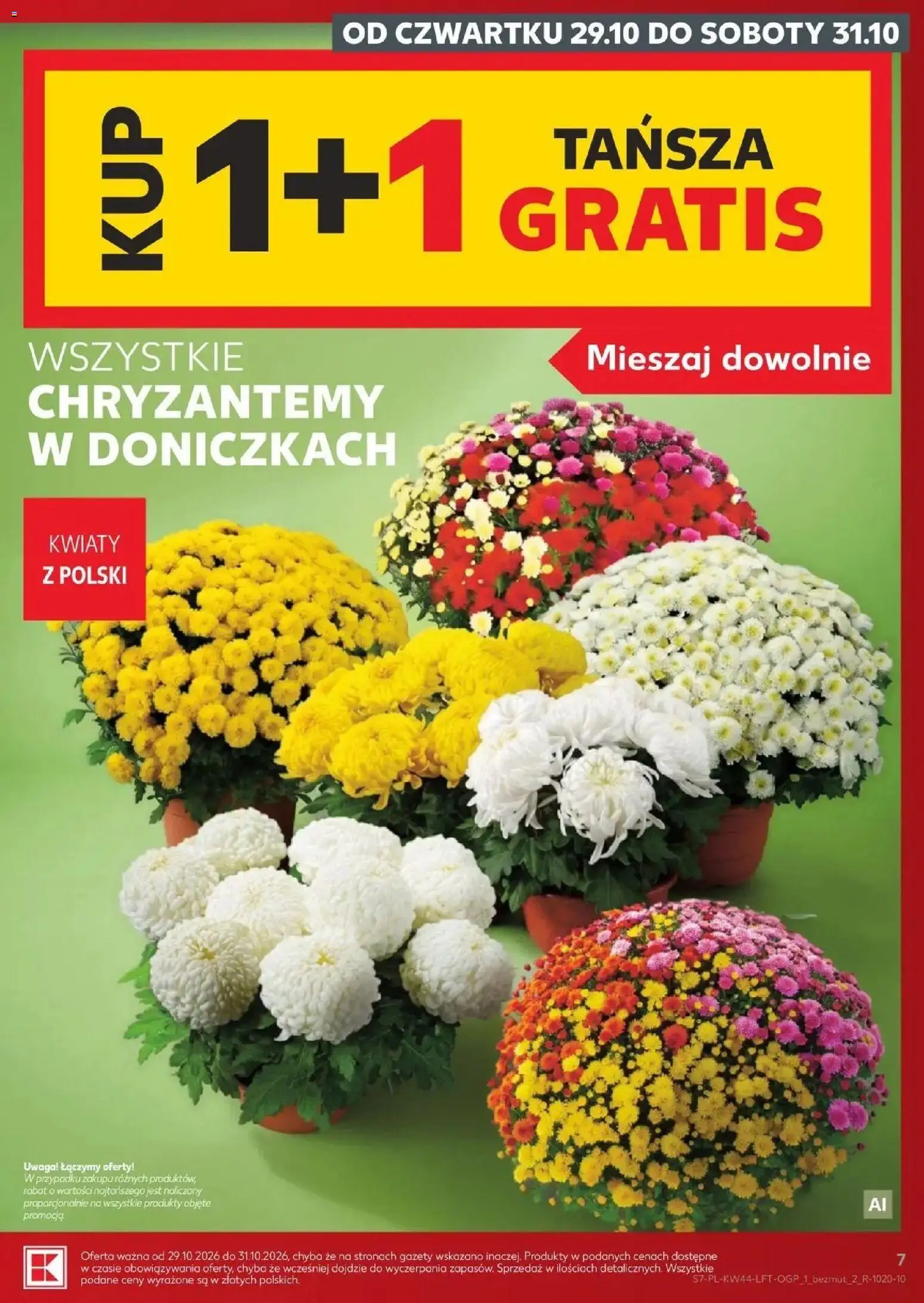 Kaufland aktualna gazetka od 29.10.2026 - od jutra PDF | Strona: 7 | Produkty: Gazety, Chryzantemy, Kwiaty