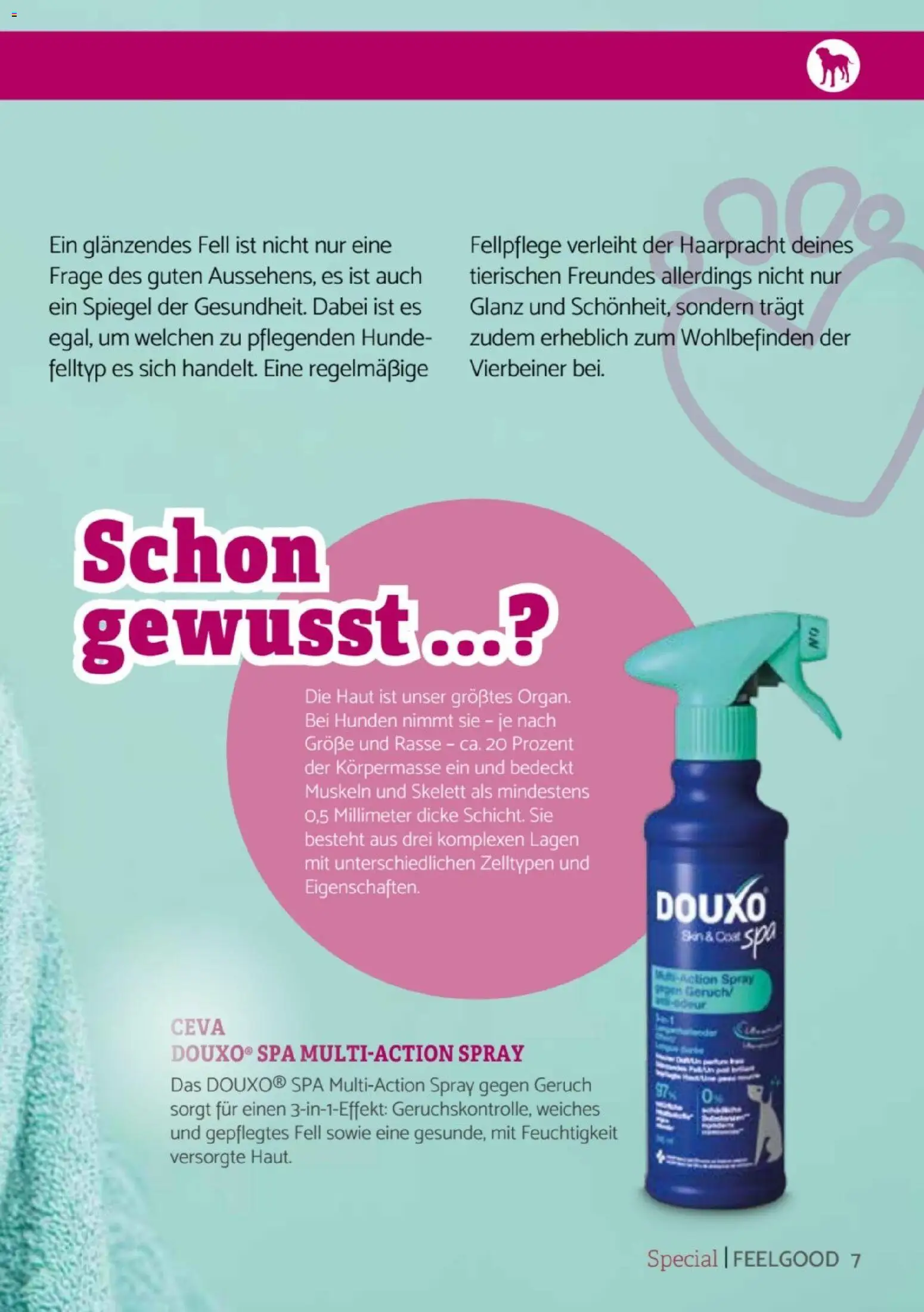 zookauf Heimtier Journal Special – gültig ab 01.06.2026 | Seite: 7 | Produkte: Spiegel